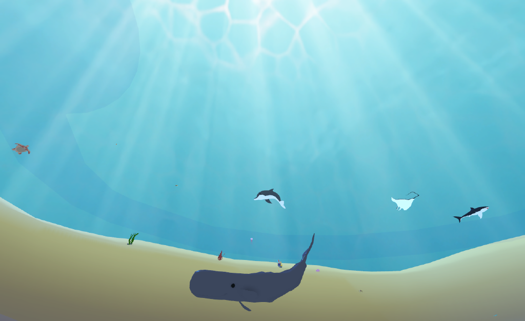 Explore the ocean field trip
